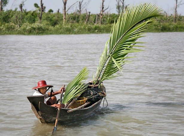 Pyinsalu Township, Myanmar