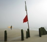 Photo You Must See: Surfer in the Fog