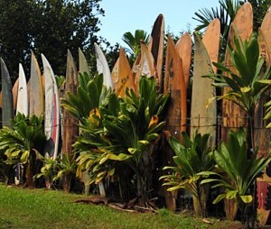 hawaii surfboards