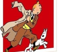 tintin cover