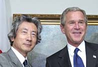 bushkoizumi