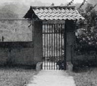 An Island in Costa Rica